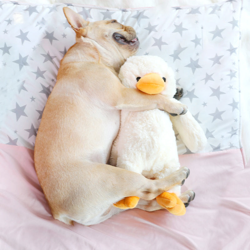 Plush Duckling Vocal Toy