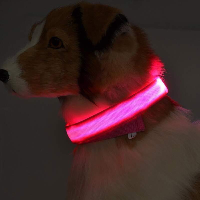 LED Nylon Pet Collar – Adjustable, Glow-in-the-Dark for Night Safety