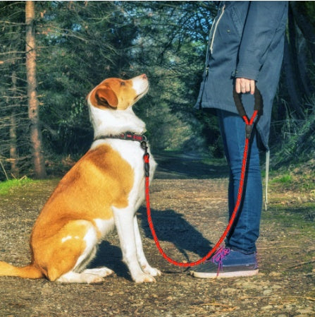 Reflective Nylon Dog Leash – Durable Rope for Walking & Training