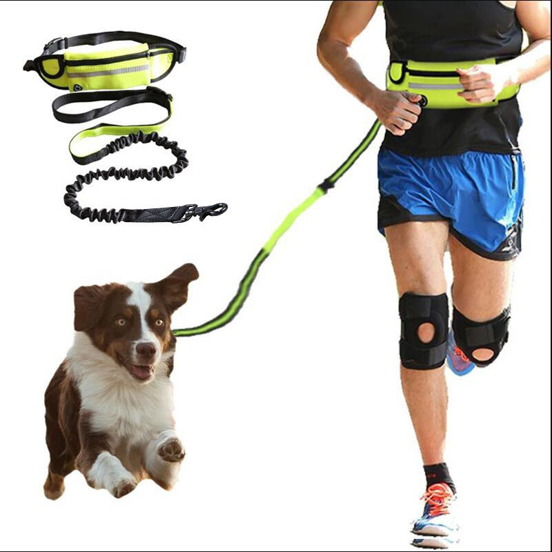 Hands-Free Running Dog Leash Belt – Shock-Absorbing, for Large Dogs